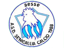 Senigallia Calcio giovanissimi