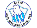 Senigallia Calcio Allievi cadetti