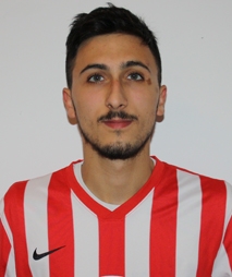 Mircoli Domenico
